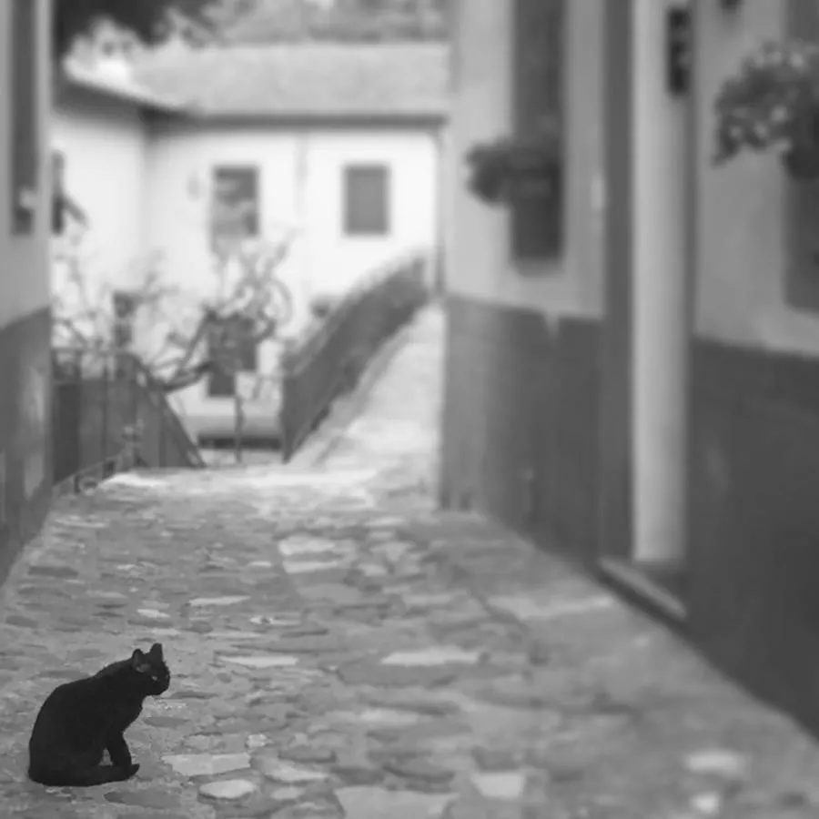 Il Gatto Nero Apartment Coreglia Antelminelli